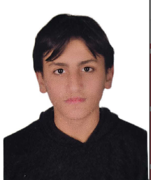 Furkan Ergin